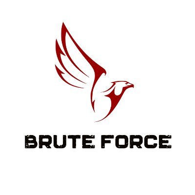 bruteforcefight1