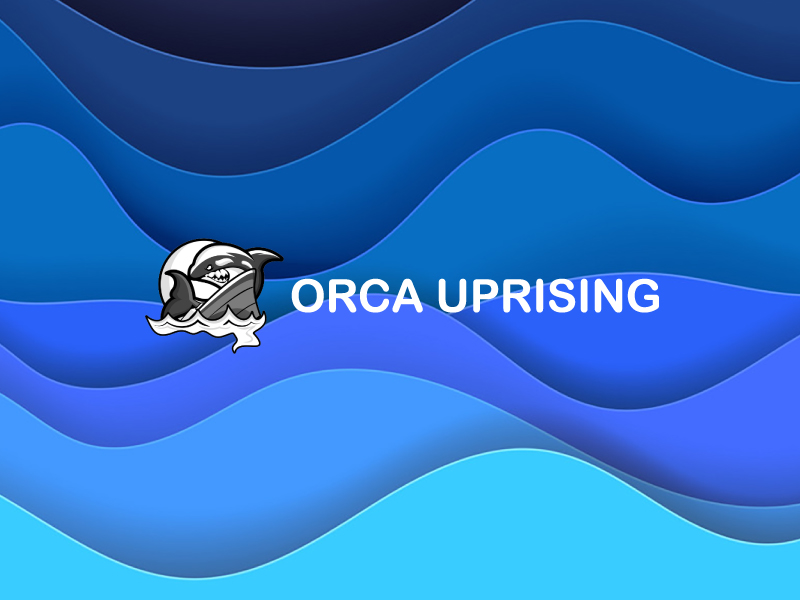 , Orca Uprising Announces Official Presale Launch on December the 20th