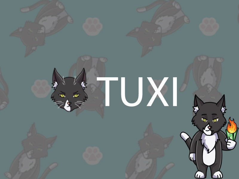 Tuxi Develops a Charity Token to Fund Kitten Protection
