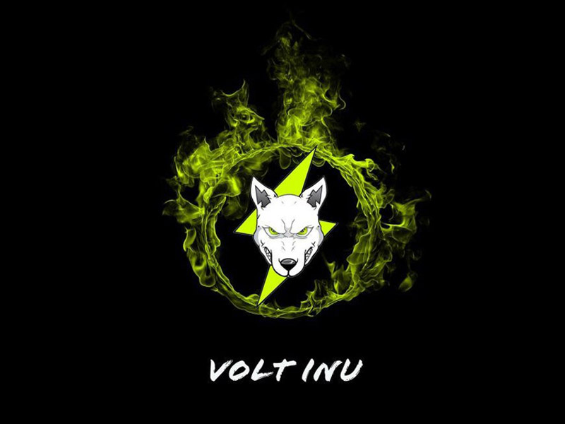 Volt Inu (VOLT) Already Making Crazy Returns Before The Bull Run