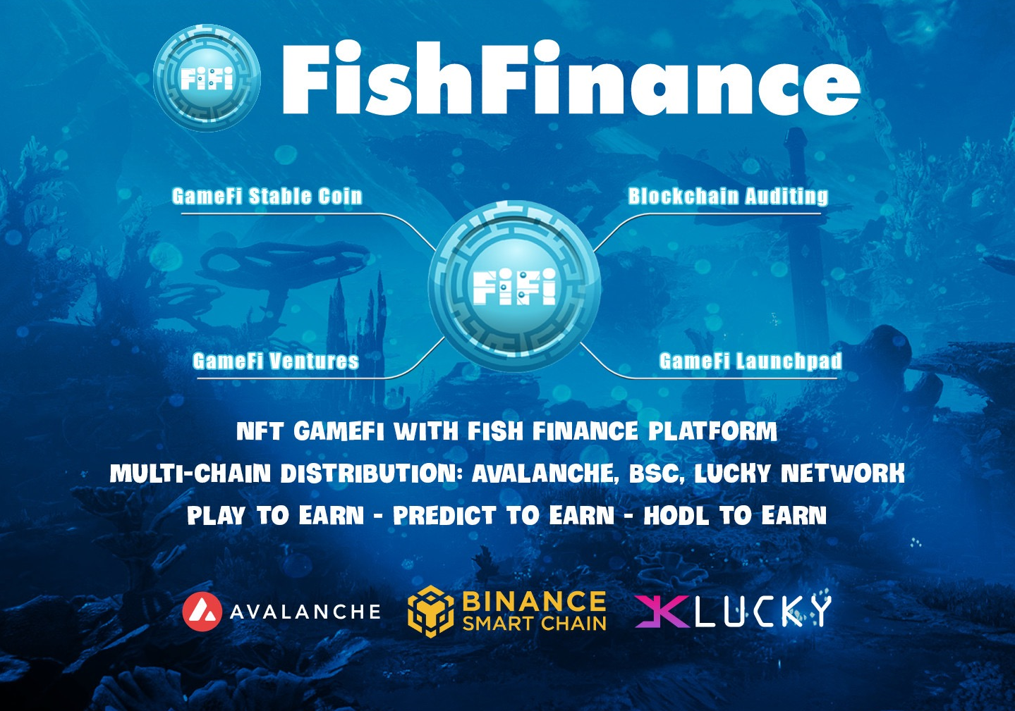 Fish Finance Image