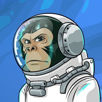 Introducing $CHIMPZ: The Ultimate Safe Haven for Risk-Takers on Ethereum Blockchain