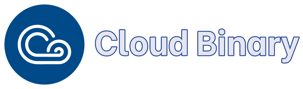 Introducing Cloud Binary Server - Secure, and Anonymous Cloud Solutions for Decentralized and AI ML Applications