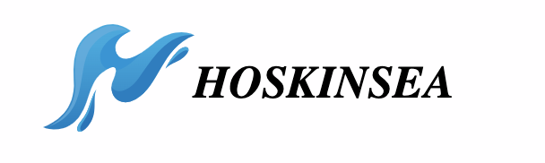 Hoskinsea Marketplace to introduce zero-cost NFT minting feature