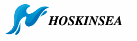 Cardano Based Hoskinsea sells out 80% allocated token as private sale ends in few hours 