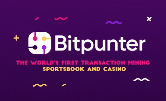 Application of Transaction Mining in Online Gaming: Bitpunter