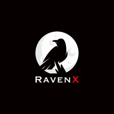 RavenX (RX) Charity Token Donates Over $1M to Binance Charity