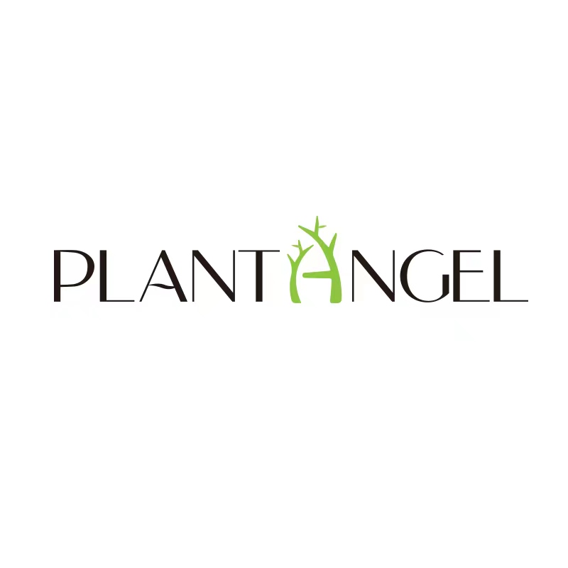 Officially entering the EU market - Australian PLANT ANGEL has set up brand operation centers in many EU countries