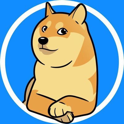 Celebrating Kabosu: The Queen of Memes and the Oldest Shiba Inu Alive