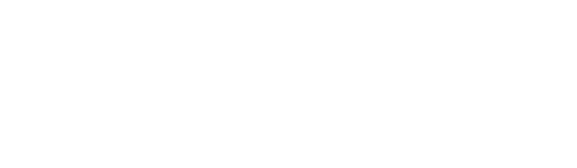 Investormind's Groundbreaking Algorithm: Shaping the Future of Investment Strategies
