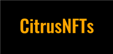 CitrusNFT Takes Charge in Digital and NFT Marketing