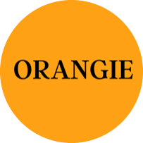 Orangie Setting Standards as an NFT Marketing Brand in the Developing Digital Ecosystem