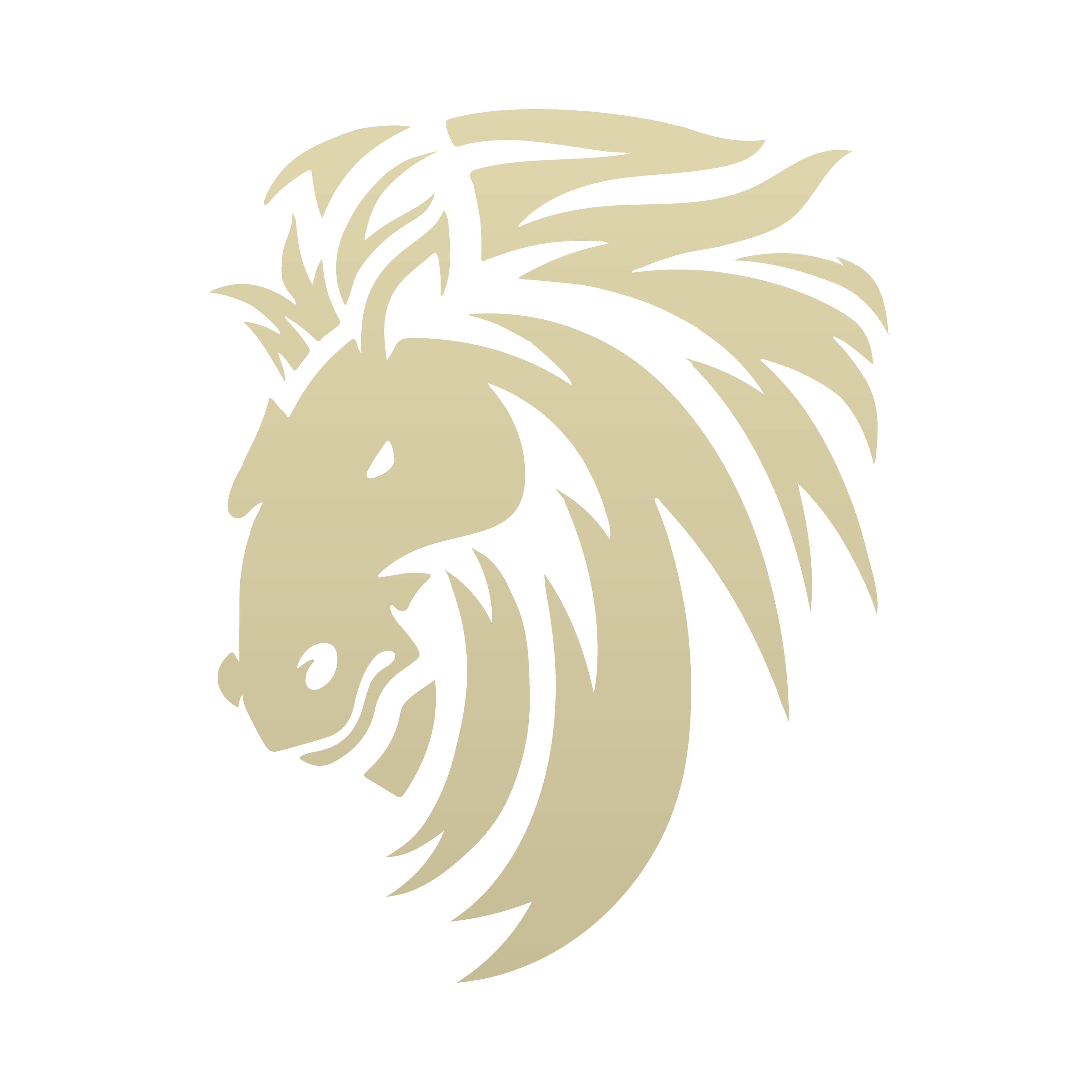 steed logo (2)1